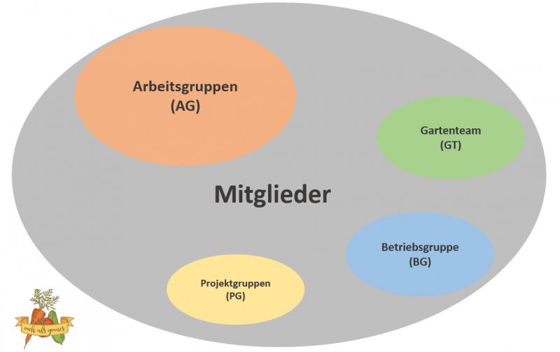 Datei:Organe meh als gmües.png